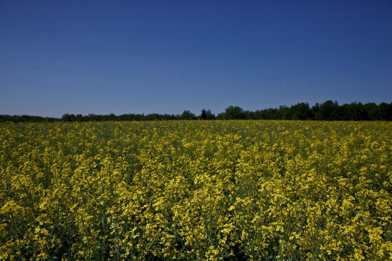 Agroturystyka Wichrowe Wzgorze Osiek  Buitenkant foto
